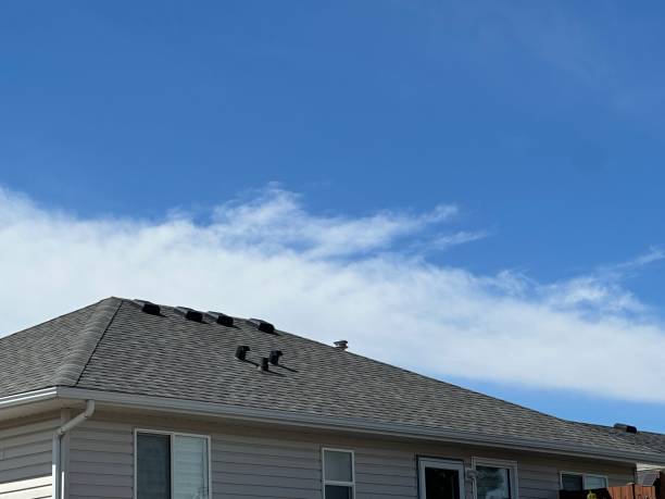 Best Gutter Installation and Repair  in Newberg, OR